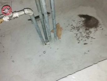 响水卫生间测漏水价格明细