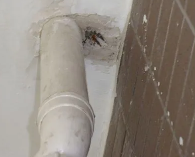 响水漏水检测哪家好